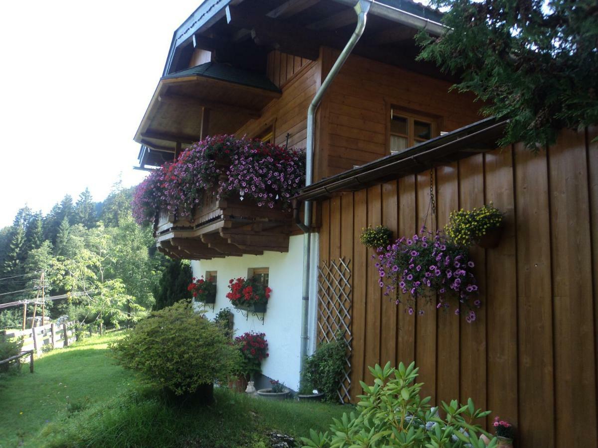 Bergblick Apartment Wagrain Exterior photo